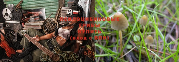 метадон Богородск