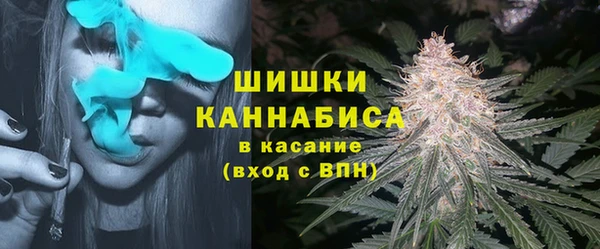 прущая мука Богданович