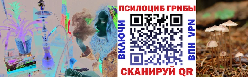 Купить где  Камышин  Галлюциногенные грибы Psilocybe 